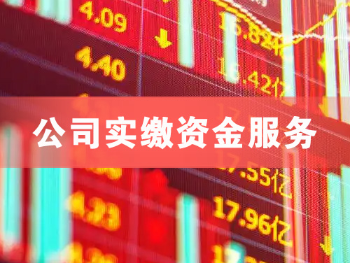 海南公司实缴资金服务