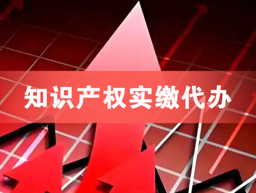 海南知识产权实缴资本代办